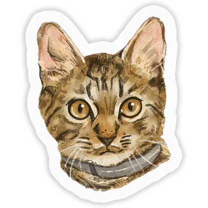Faces Of Kitty Town Sticker Pack