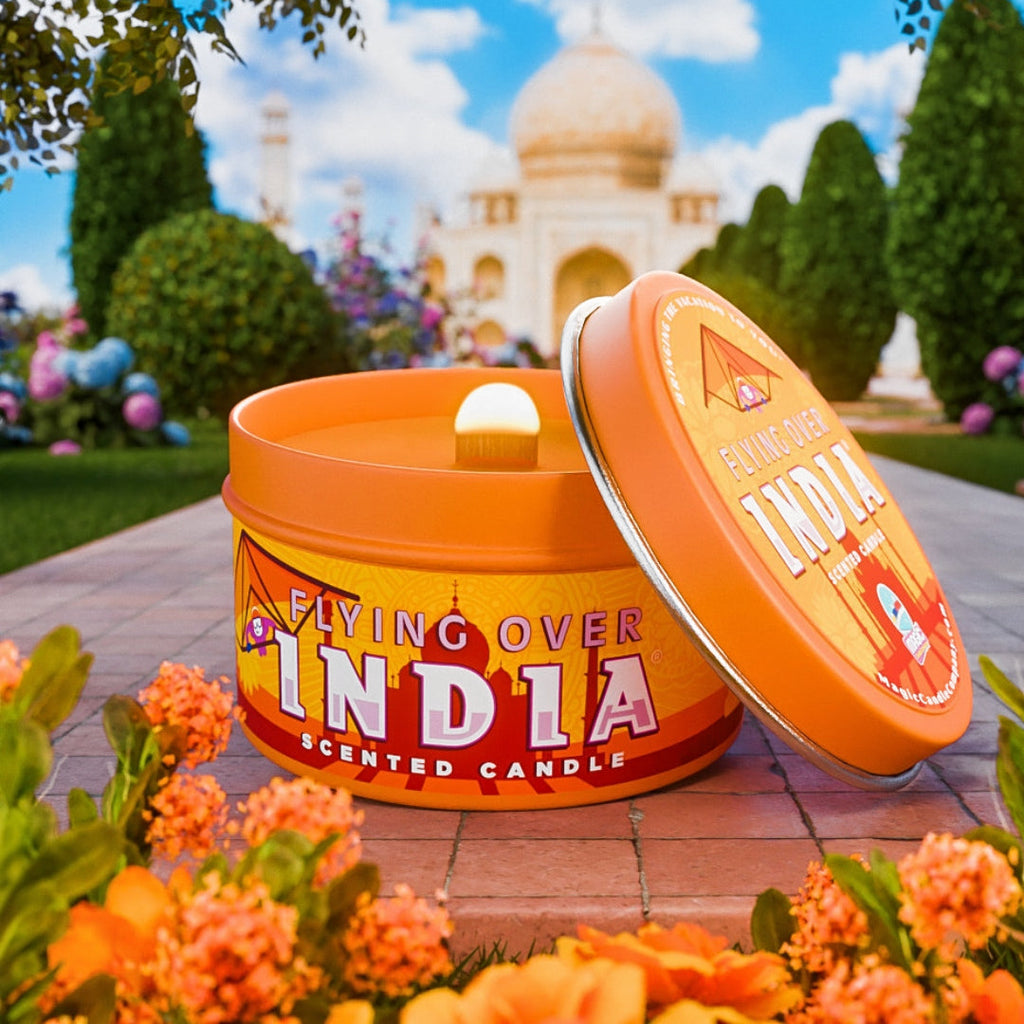 Flying Over India®