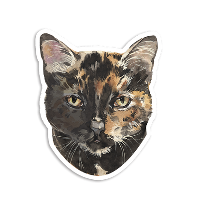 Sticker Pack