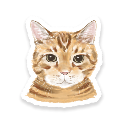 Faces Of Kitty Town Sticker Pack