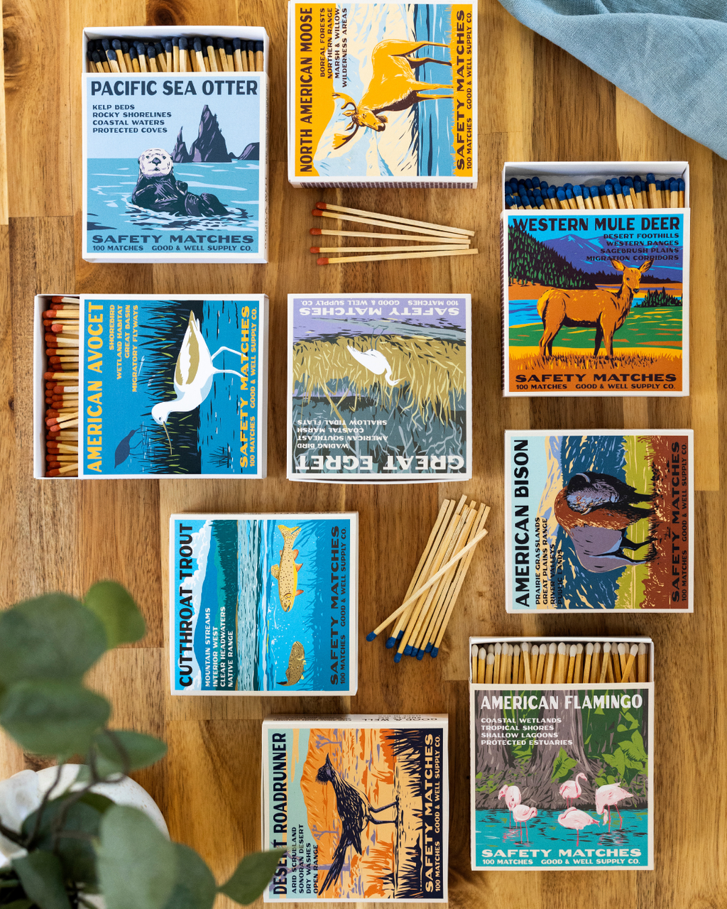 Desert Roadrunner Cabin Matches